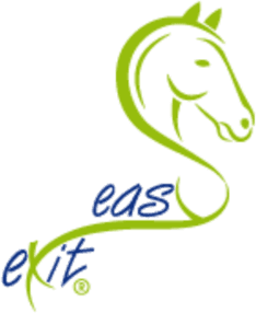 EasyExit Logo